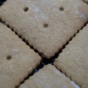 Baked Gluten Free Graham Crackers